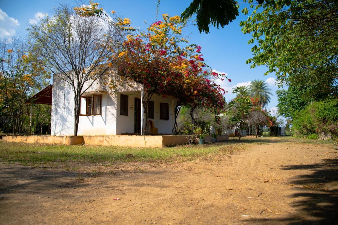 The Mountain Retreat Hotel Tiruvannamalai Bagian luar foto