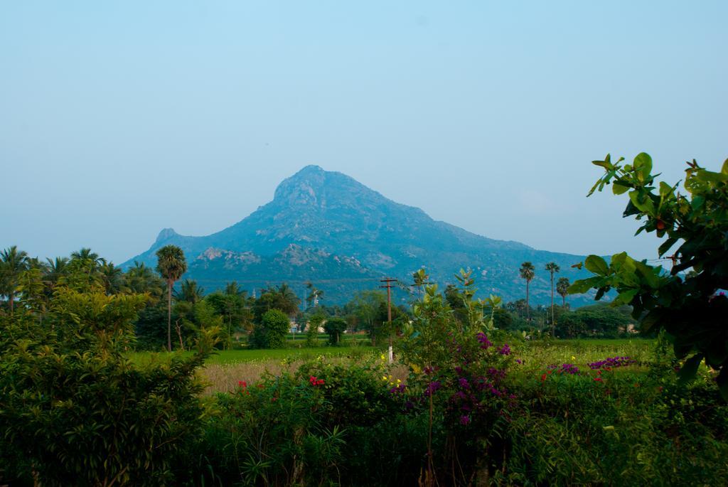 The Mountain Retreat Hotel Tiruvannamalai Bagian luar foto